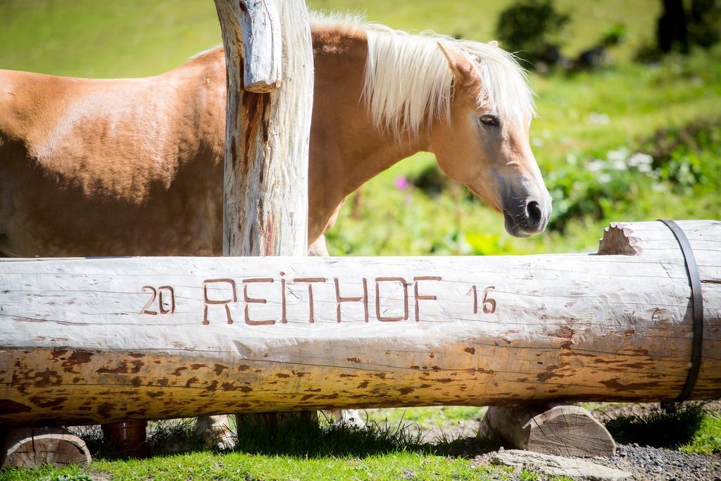فندق Almhof-Reithof Pitztal سانكت ليونارد إم بيتزتال المظهر الخارجي الصورة